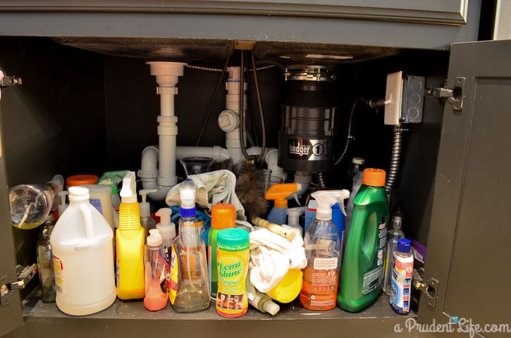 What Really Goes Under The Kitchen Sink? (And What Doesn't?) - Organized-ish