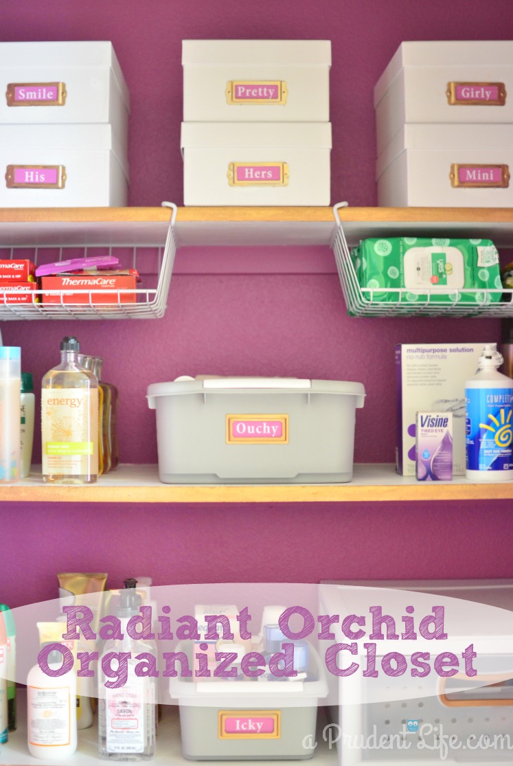 https://www.polishedhabitat.com/wp-content/uploads/2014/01/Radian_Orchid_Organized_Bathroom_Closet.jpg
