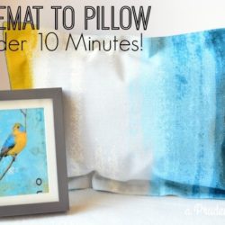 Placemats into Pillows without sewing