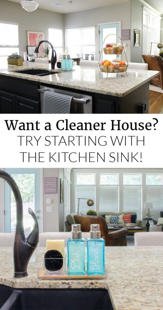 Organize Your Cleaning Supplies for FREE  No Cost Under the Kitchen Sink  Organization 